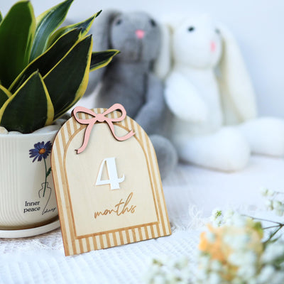 Wooden Baby Monthly Milestone Sign, Pink Bow Baby Girl Milestone Marker, Baby Photo Prop, Baby Girl Month Milestone, Baby Keepsake Sign