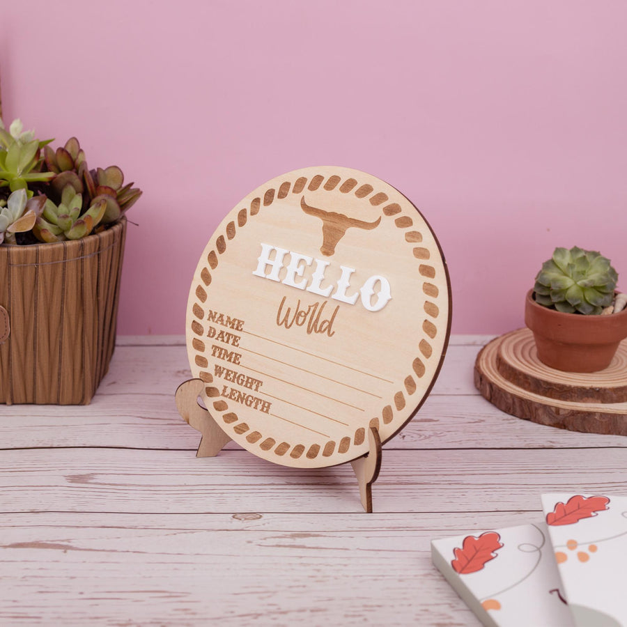 Baby Boy Announcement Sign, Baby Announcement Name Sign for Hospital, Name Plate Announcement, Newborn Sign for Boy, Newborn Gift, 3D Sign