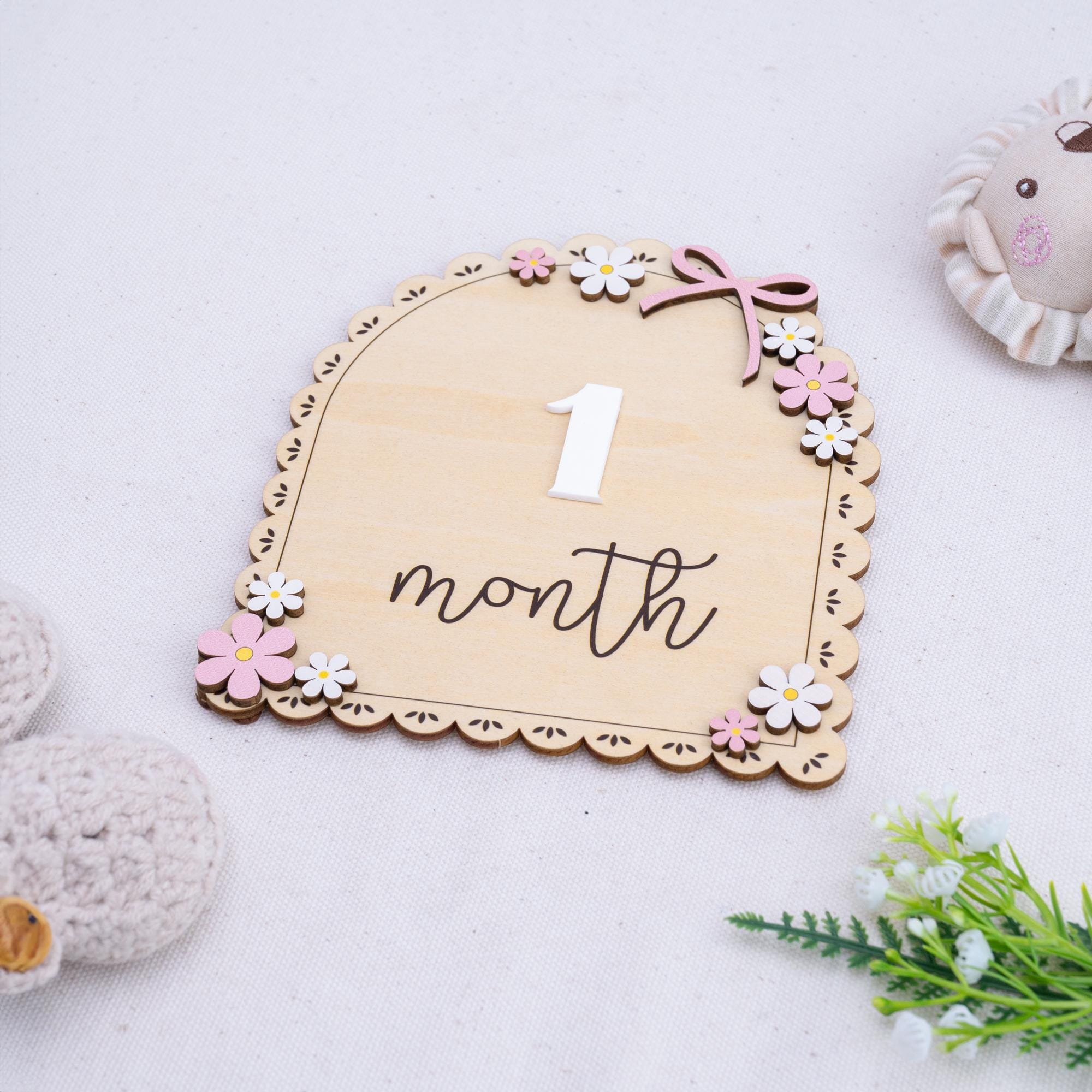3D Baby Milestone Set Acrylic, Monthly Milestone Marker Wood, Baby's First Milestones, Boho Baby Milestone,Milestone Disc Baby,Nursery Decor
