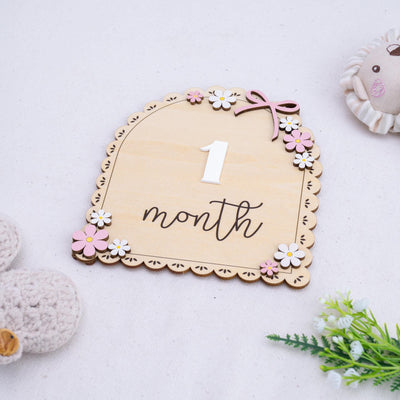3D Baby Milestone Set Acrylic, Monthly Milestone Marker Wood, Baby's First Milestones, Boho Baby Milestone,Milestone Disc Baby,Nursery Decor