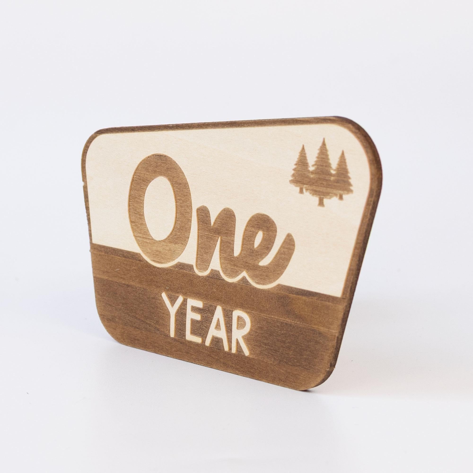 National Park Baby Milestone, Nursery National Park Decor, Baby Monthly Milestone, Wood Baby Milestone Cards, National Park Baby Shower
