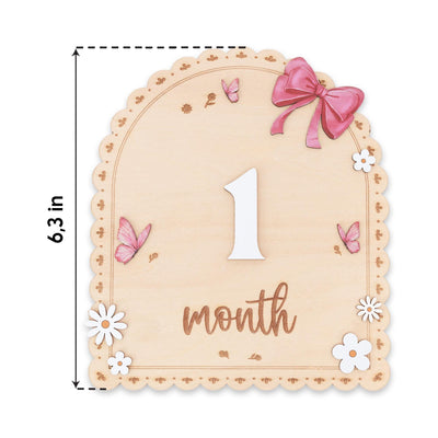 Baby Month Sign Double Sided Month Months Baby Milestone Sign First Year Baby Photo Prop Monthly Milestone Baby Nursery Decor
