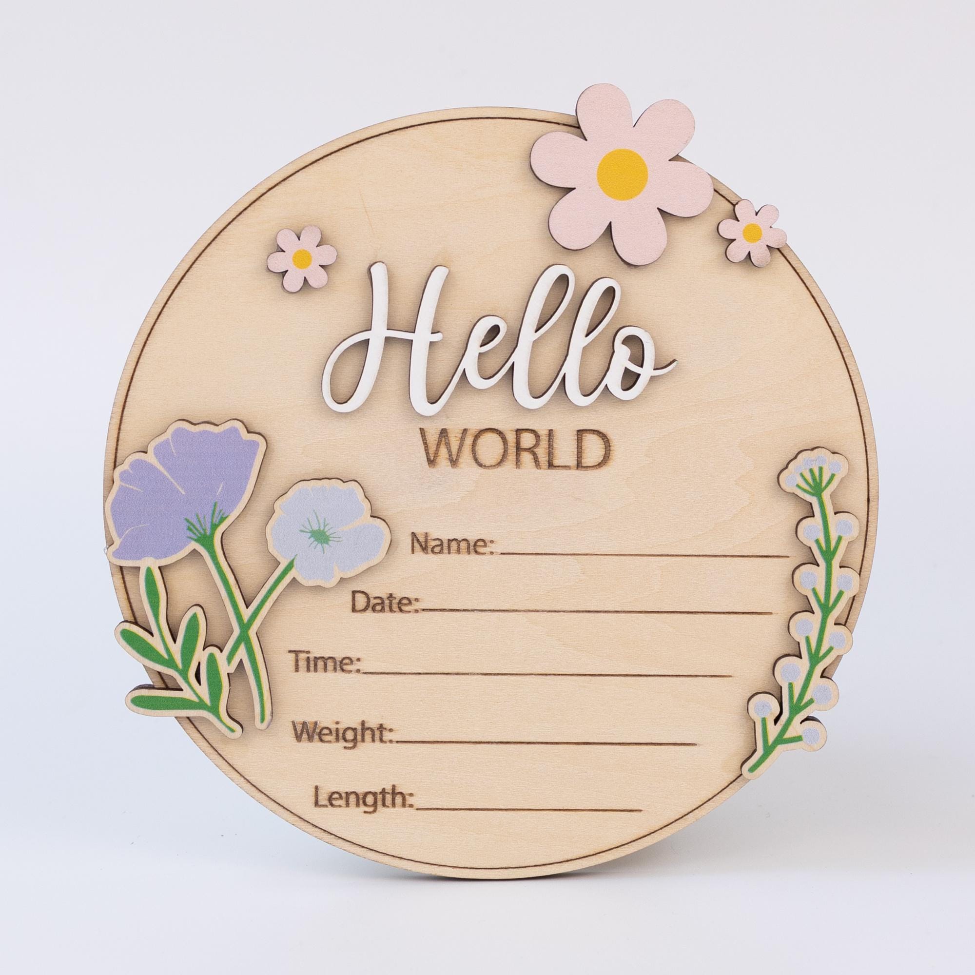 Birth Announcement Sign For Girl, Baby Announcement Name Sign For Hospital, Baby Announcement Sign, Coquette Daisy Newborn Gift,Newborn Sign