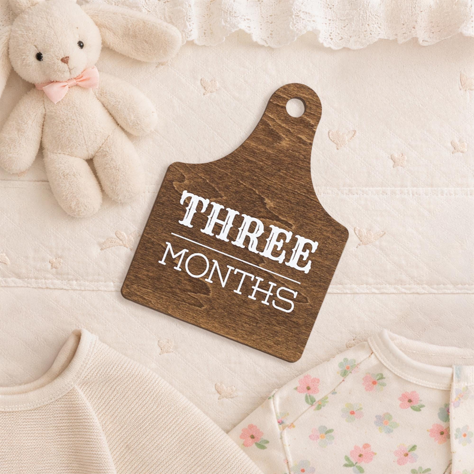 Wooden Baby Monthly Milestone Signs Set, Rustic First Year Photo Props