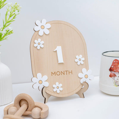 3D Daisy Milestone Cards, Interchangeable Milestone Set, Milestone Set For Photo Board, Boho Monthly Milestone Set, Floral Baby Milestone