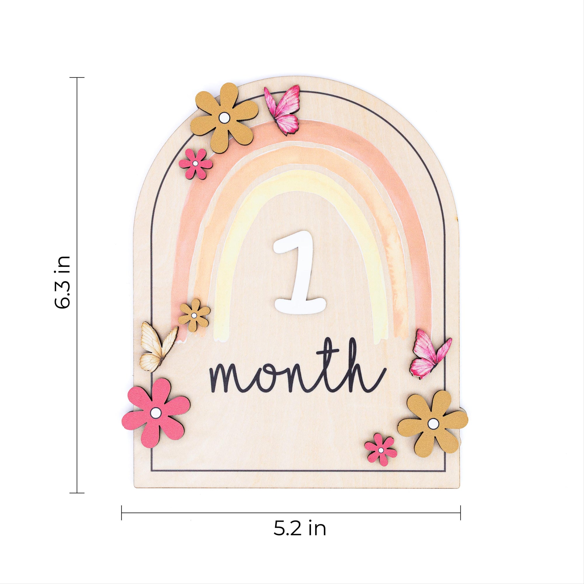 Double Sided Milestone Set | Reversible Boho Rainbow Wood Disc | 3D Butterfly Monthly Card | Custom Baby Girl Nursery Prop