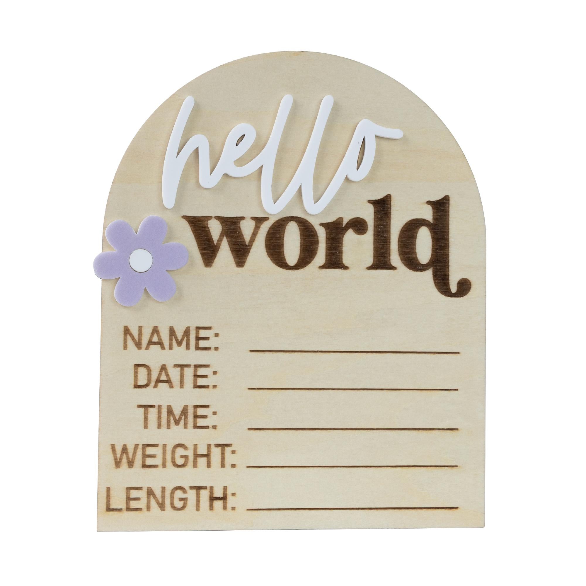 Hello World Sign, Baby Birth Announcement, Baby Name Announcement, Hospital Name Sign, Birth Star Sign, I’m New Here, Surprise Gender Sign