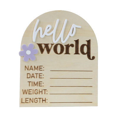 Hello World Sign, Baby Birth Announcement, Baby Name Announcement, Hospital Name Sign, Birth Star Sign, I’m New Here, Surprise Gender Sign