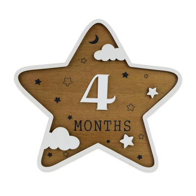 Baby Monthly Milestone Marker, Scalloped Monthly Baby Milestone Disc, Newborn Infant Month Prop, Baby Shower Gift, Night Sky Baby Photo Prop