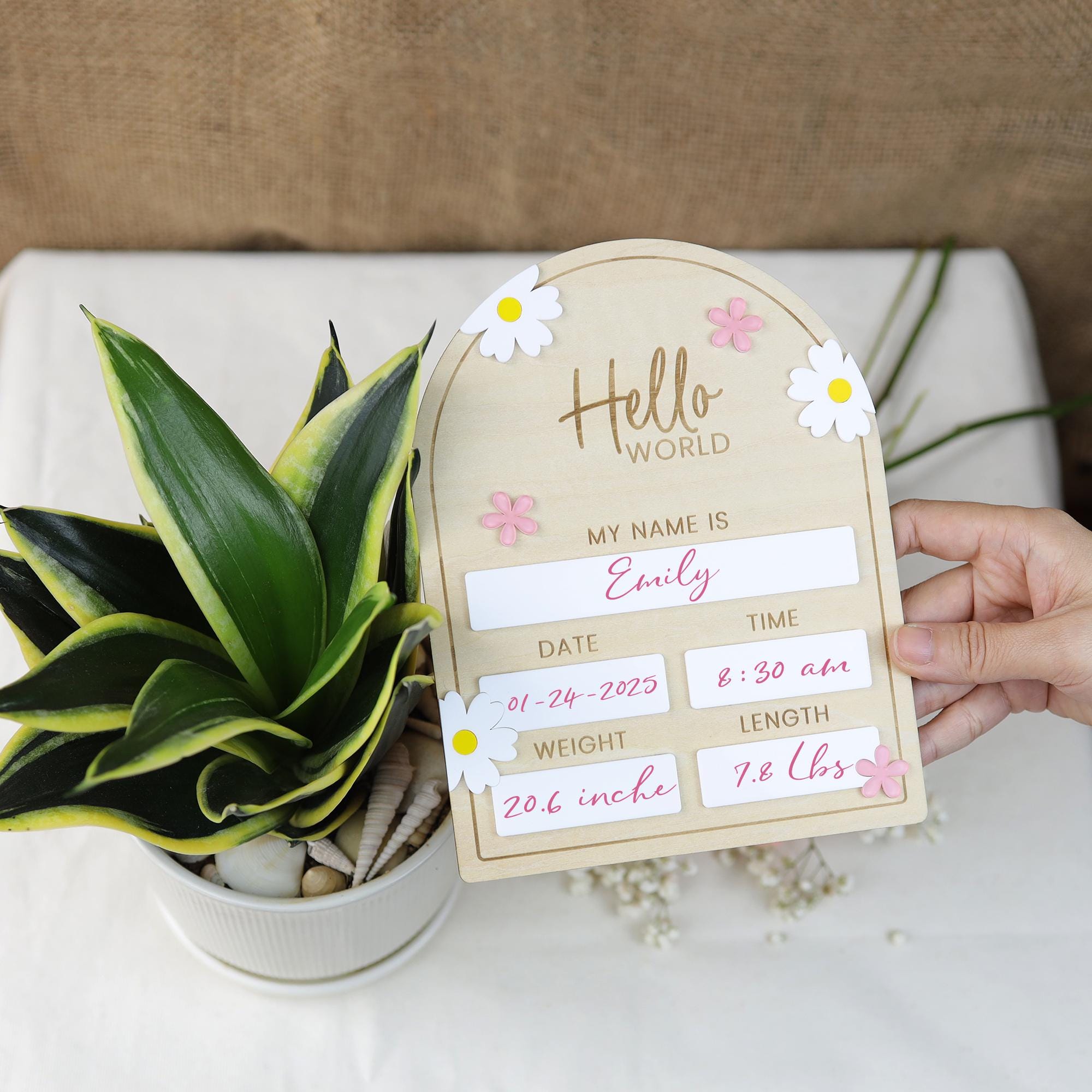 Baby Girl Birth Announcement, Hello World Baby Name Sign (Marker Included) , Birth Stat Sign, Birth Announcement Sign, Newborn Photo Prop