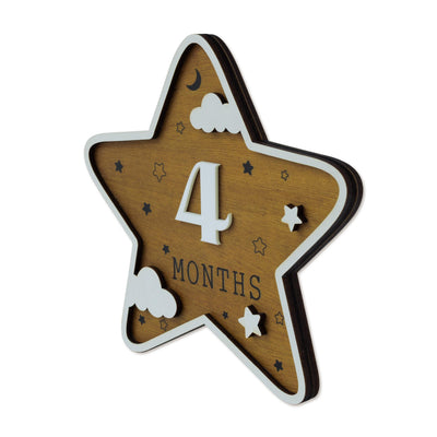 Baby Monthly Milestone Marker, Scalloped Monthly Baby Milestone Disc, Newborn Infant Month Prop, Baby Shower Gift, Night Sky Baby Photo Prop