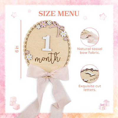 Wooden Monthly Milestone For Girls, Baby Photo Prop Newborn, Newborn Month Markers, Rustic Nursery Decor, Baby Milestone Cards, Baby Shower