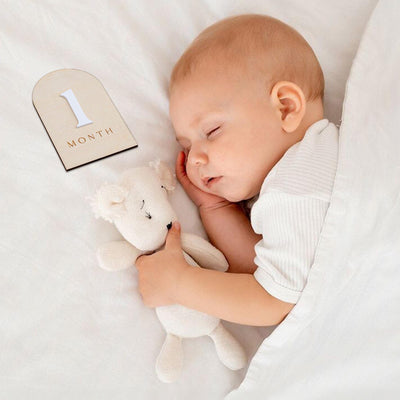 Modern Baby Milestone Cards, Wooden Baby Monthly Milestone, Baby Photo Prop Newborn, Newborn Keepsake Gift, Monthly Milestone Discs