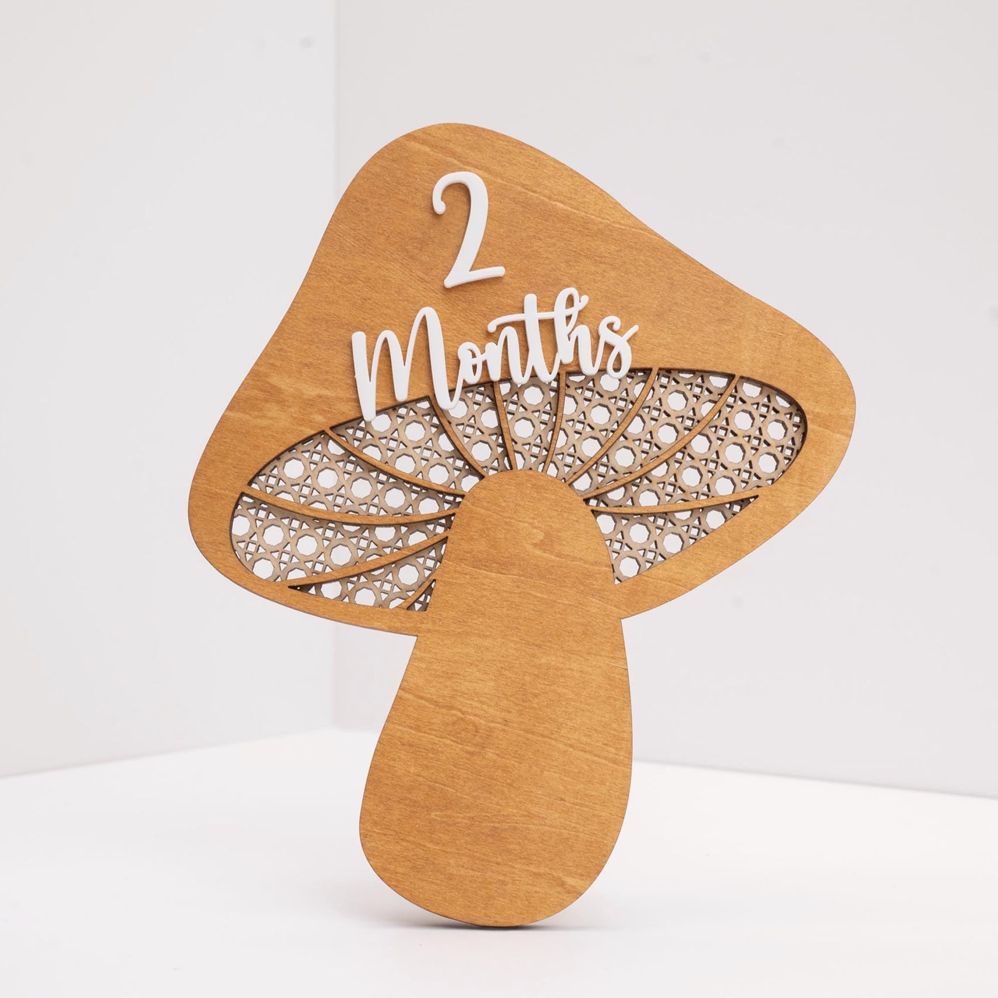 Mushroom Milestone Cards, Baby Milestone Set, Boho Newborn Photo Prop, Milestone Discs Baby,Milestone Photo Sign,Baby Keepsake,Nursery Decor