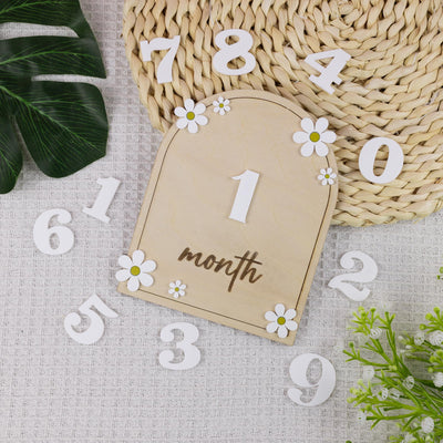 Daisy Flower Baby Months Milestones, Wooden 3D Monthly Milestone Discs For Baby Photos, Monthly Milestone Markers, Personalized Baby Sign