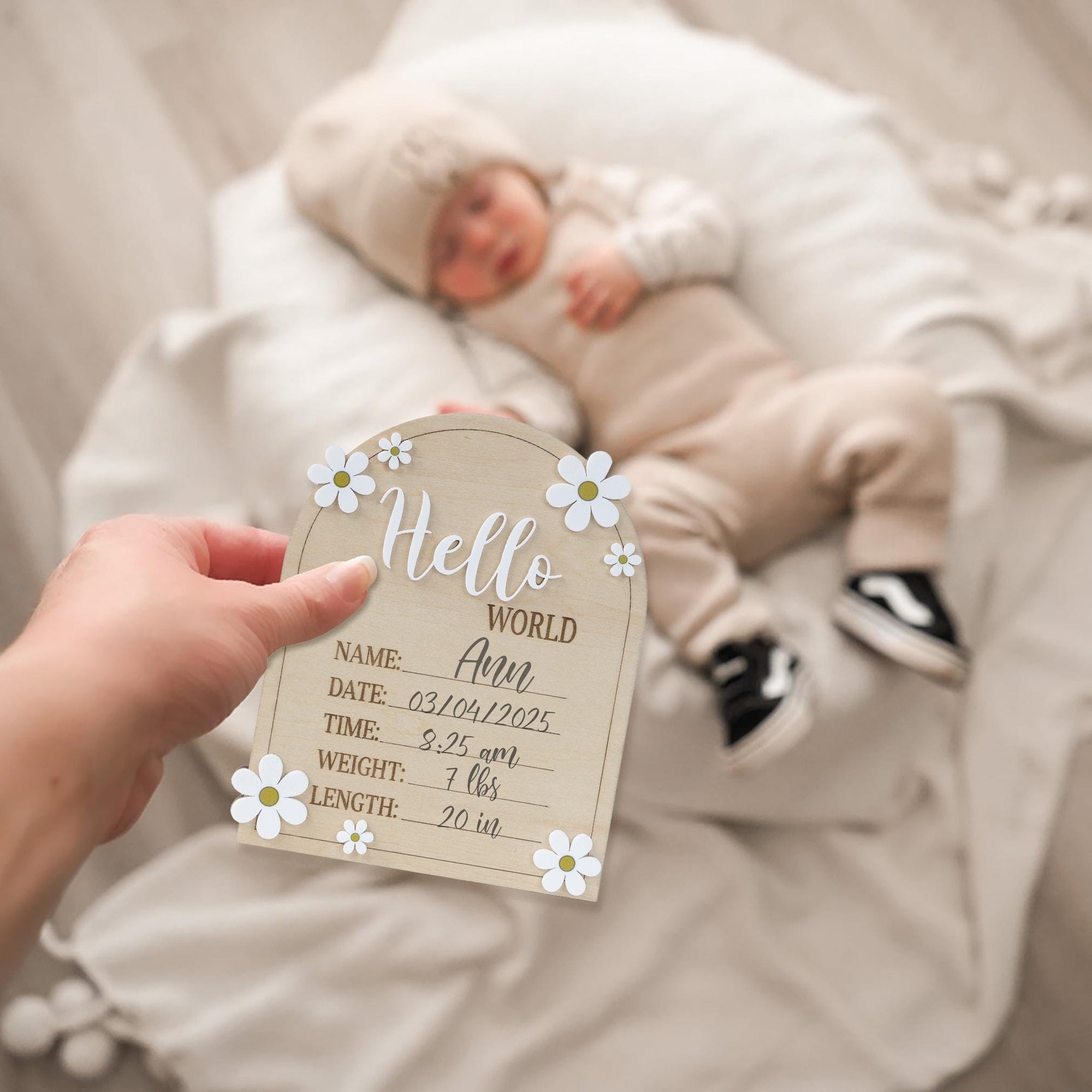 Daisy Flower Hello World Sign, Baby Birth Announcement, Arched Wooden Birth Announcement, Personalized Name Sign, Baby Birth Name