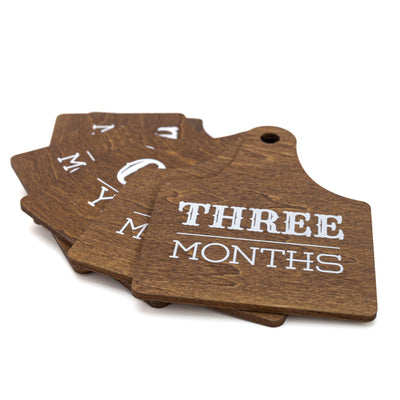 Wooden Baby Monthly Milestone Signs Set, Rustic First Year Photo Props