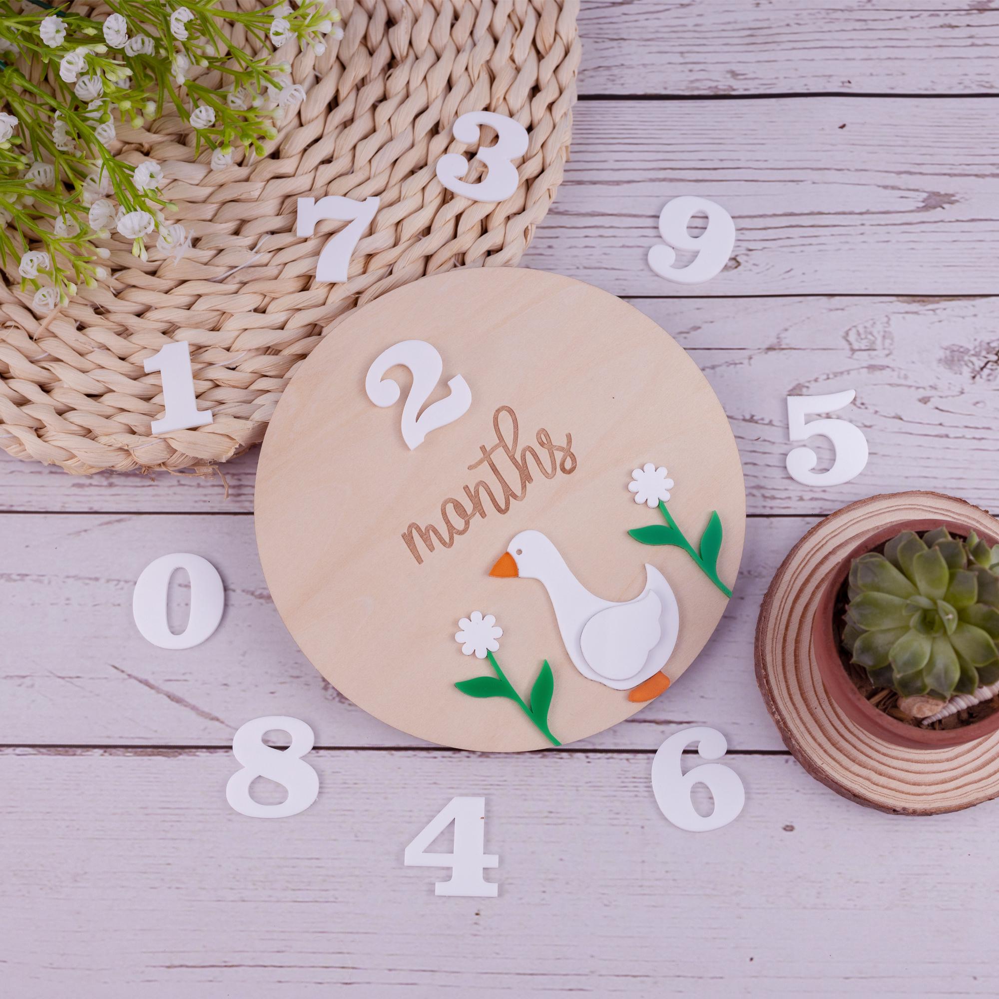 Wooden Baby Milestone Card, Interchangeable Milestone Card, Duck Baby Decor, Baby Monthly Milestone Marker, Baby Shower Gift, Nursery Decor