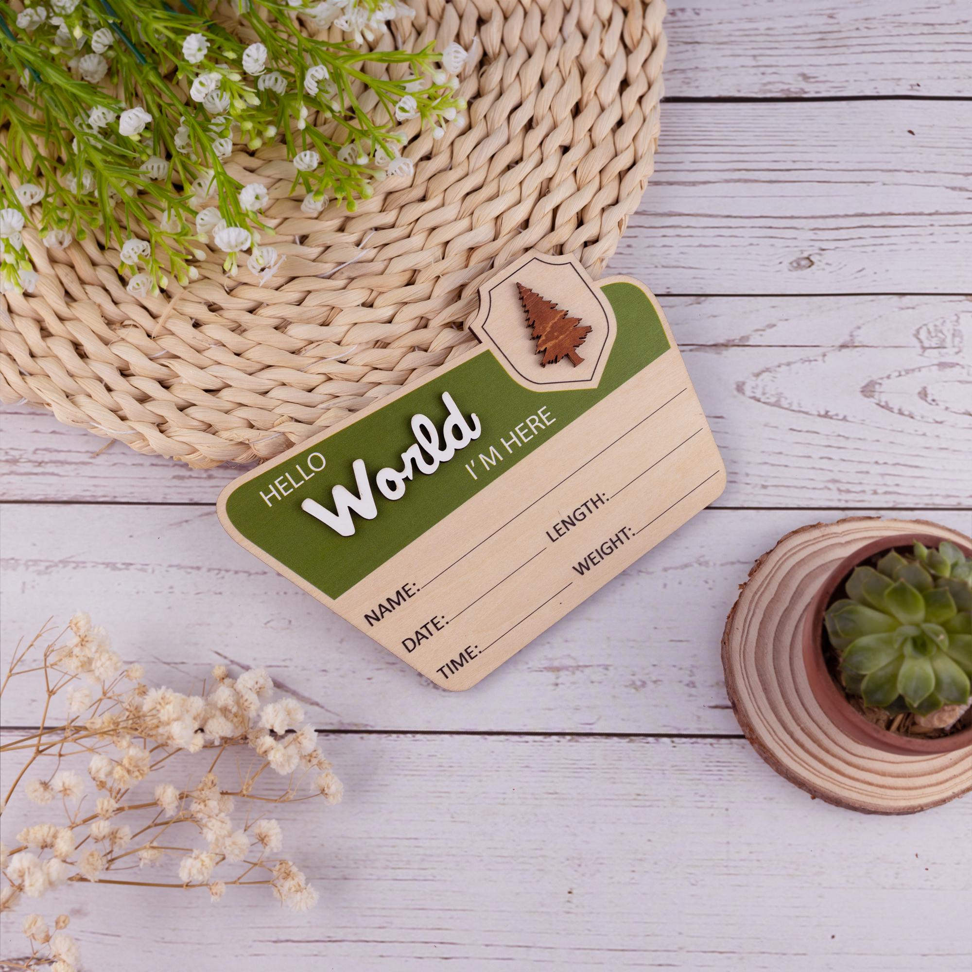 Baby Announcement With Birth Stats, National Park Baby Name Sign, Woodland Nursery Name Sign, Baby Photo Prop, Custom Newborn Reveal Sign