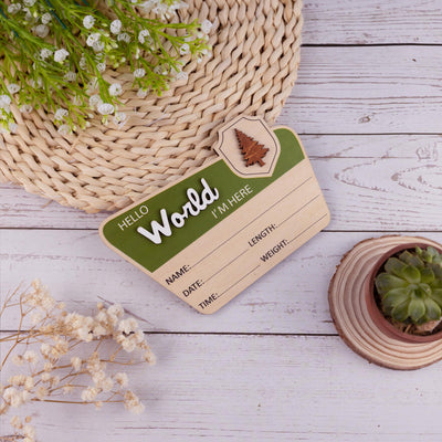 Baby Announcement With Birth Stats, National Park Baby Name Sign, Woodland Nursery Name Sign, Baby Photo Prop, Custom Newborn Reveal Sign