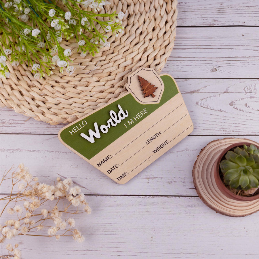 Baby Announcement With Birth Stats, National Park Baby Name Sign, Woodland Nursery Name Sign, Baby Photo Prop, Custom Newborn Reveal Sign