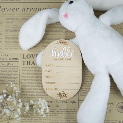 I'm New Here Sign, Birth Announcement Sign, Baby Announcement Sign, Baby Name Sign, Hospital Newborn Signs, Baby Photo Prop, Nursery Decor