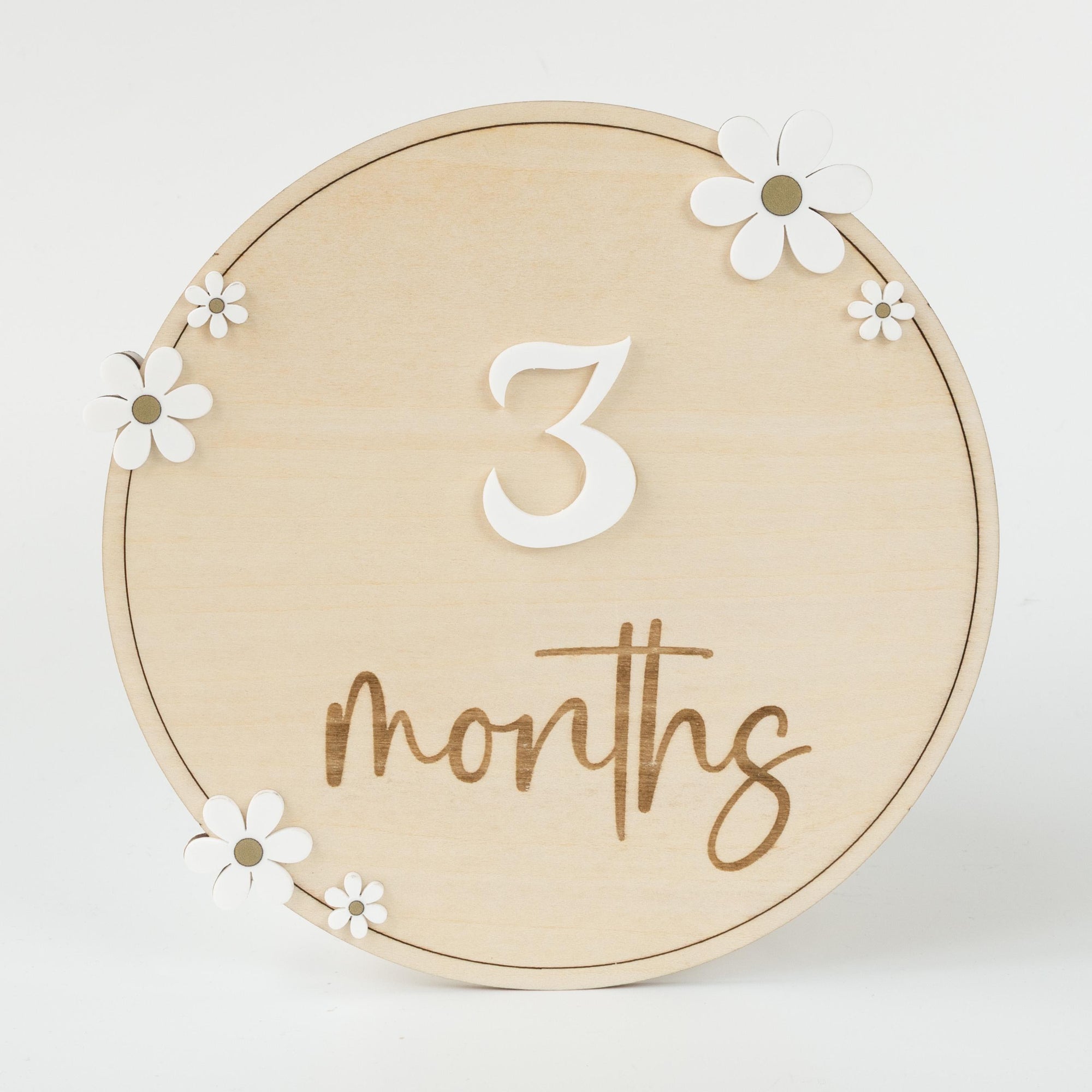 Baby Monthly Milestone Sign, Baby Photo Prop, Baby Girl Month Milestone, Monthly Milestone Photo, Monthly Milestone Sign, Milestone Marker