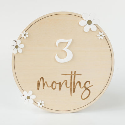 Baby Monthly Milestone Sign, Baby Photo Prop, Baby Girl Month Milestone, Monthly Milestone Photo, Monthly Milestone Sign, Milestone Marker