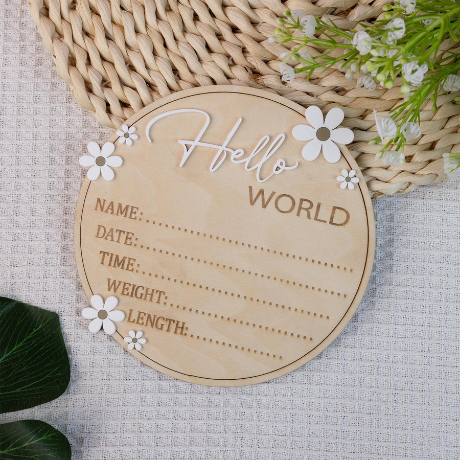 Baby Birth Stat Sign, Hello World Baby Sign Daisy, Baby Name Announcement, Hospital Name Sign, Baby Wooden Sign, Newborn Girl Announcement
