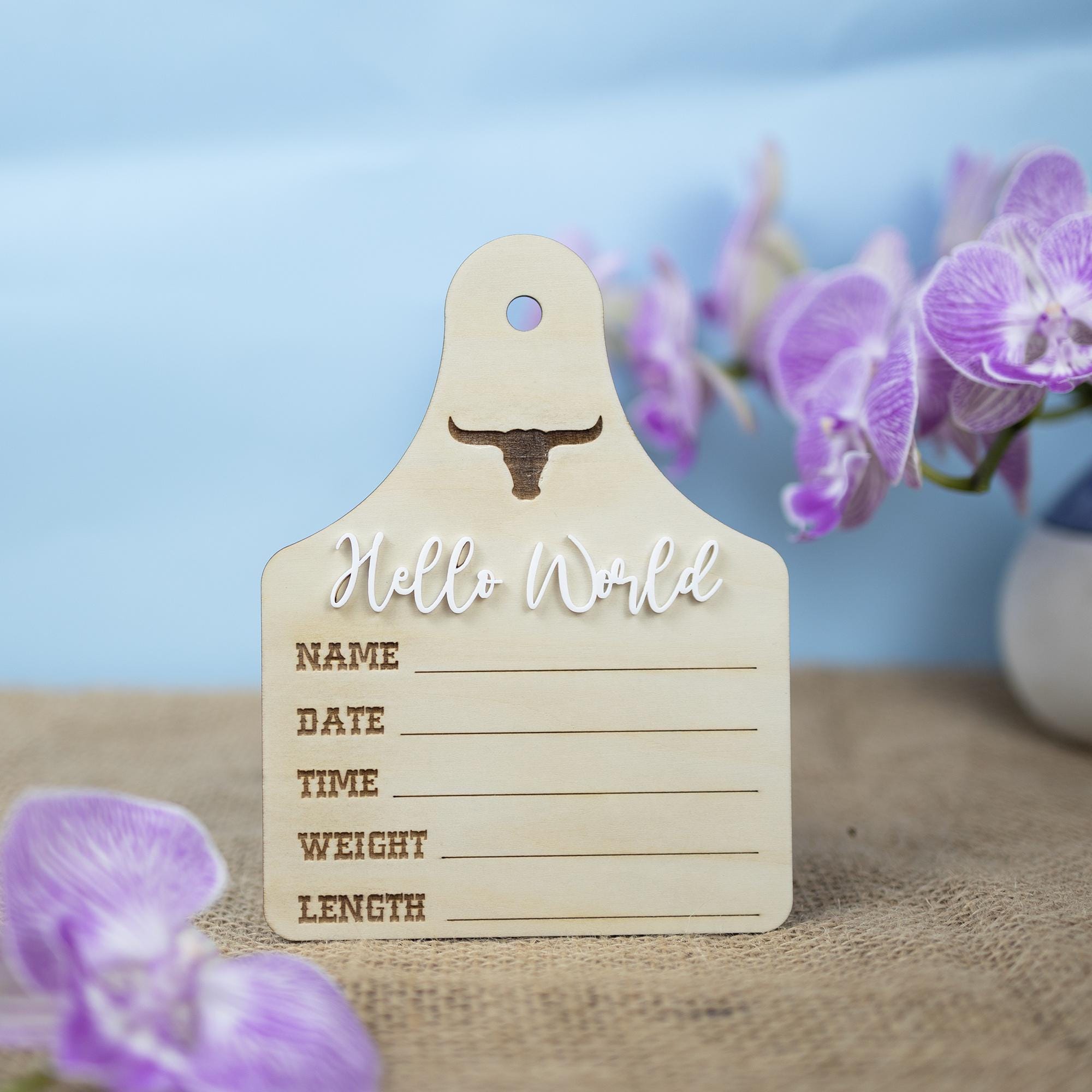Baby Boy Birth Stats Sign, Hello World Baby Announcement Sign, Newborn Hospital Photo Prop, Boy Nursery Door Hanger, Newborn Photo Prop