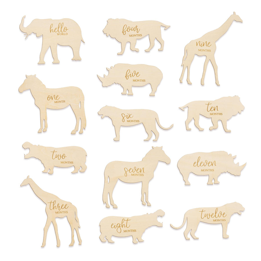 Monthly Milestone Marker Animal Theme, Safari Animal Baby Milestone Set, Safari Animals For Baby Photos, Baby Milestone Cards, Hello World