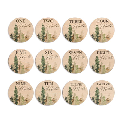 Monthly Milestone Disc For Baby Photos Wooden, Baby Monthly Milestone, Baby Milestone Discs, Newborn Gift, Baby Shower Gift,Baby Photo Props