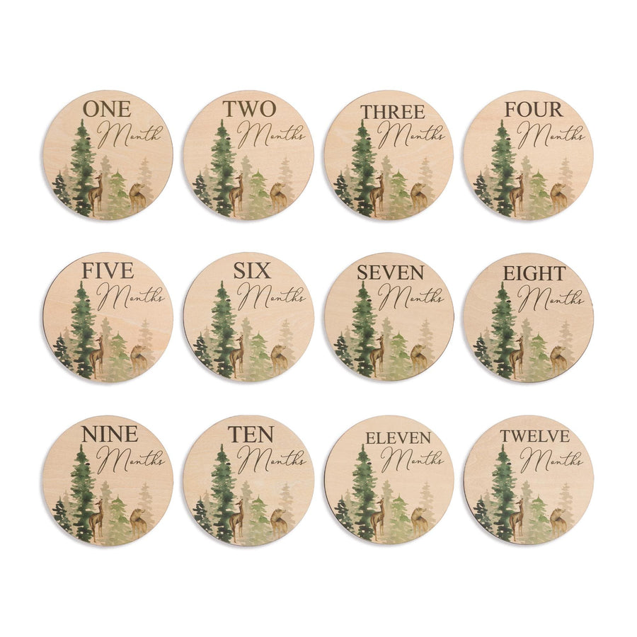 Monthly Milestone Disc For Baby Photos Wooden, Baby Monthly Milestone, Baby Milestone Discs, Newborn Gift, Baby Shower Gift,Baby Photo Props