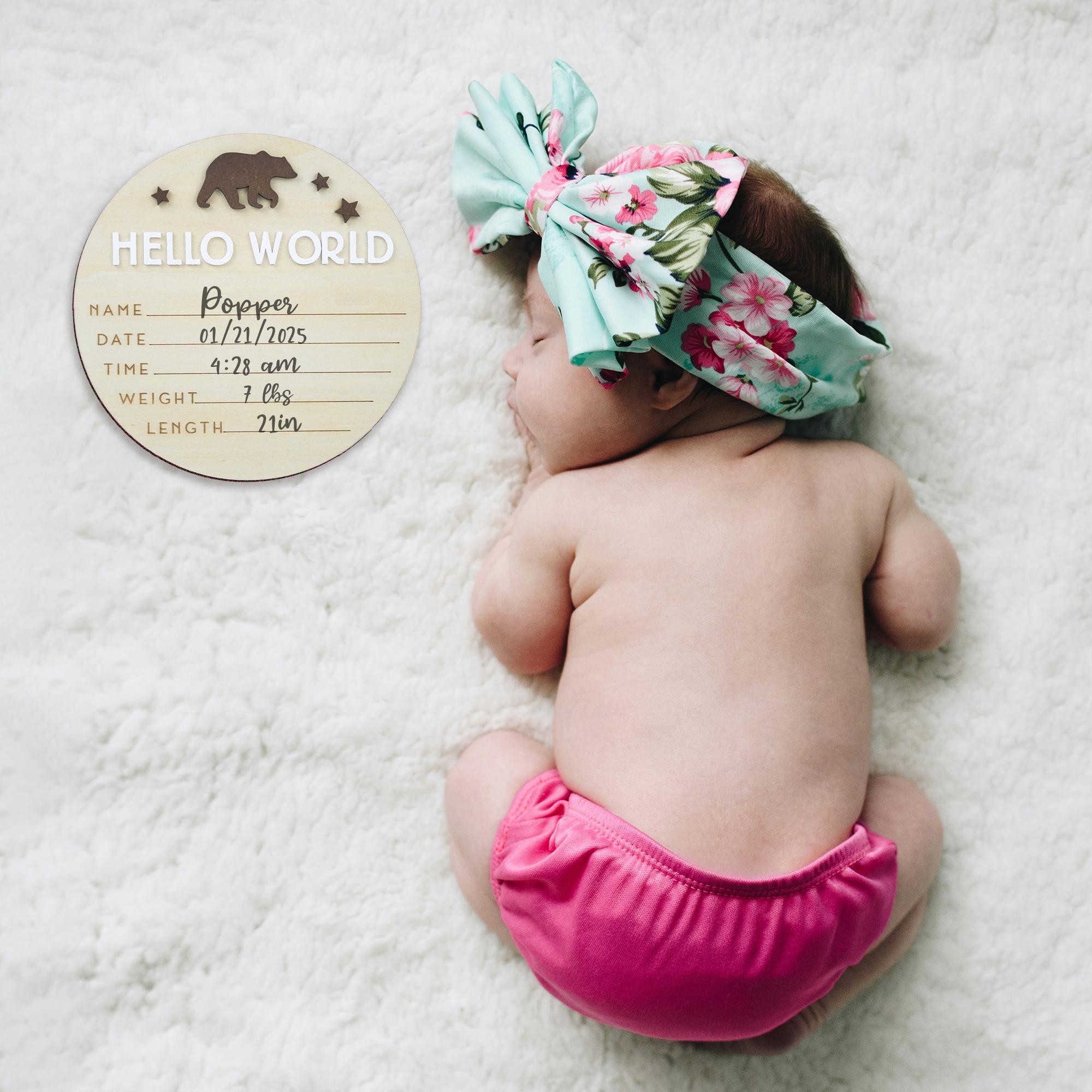 Hello World Sign, Birth Announcement, Birth Stats Sign, Baby Name Announcement, Hospital Name Sign, Newborn Wood Sign