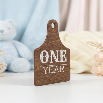 Wooden Baby Monthly Milestone Signs Set, Rustic First Year Photo Props