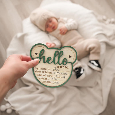 Baby Announcement Sign, Bear Baby Name Sign, Hello World Sign, Baby Boy Girl Birth Stats Sign, Custom Newborn Stats, Hospital Name Sign
