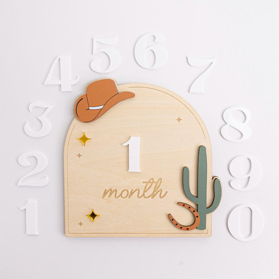 Western Baby Milestone Sign, Wooden Cowboy Monthly Milestone, Rustic Nursery Decor, Interchangeable Monthly Milestones, Newborn Photo Prop
