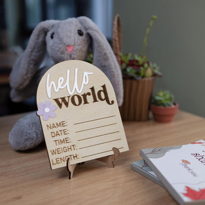 Hello World Sign, Baby Birth Announcement, Baby Name Announcement, Hospital Name Sign, Birth Star Sign, I’m New Here, Surprise Gender Sign