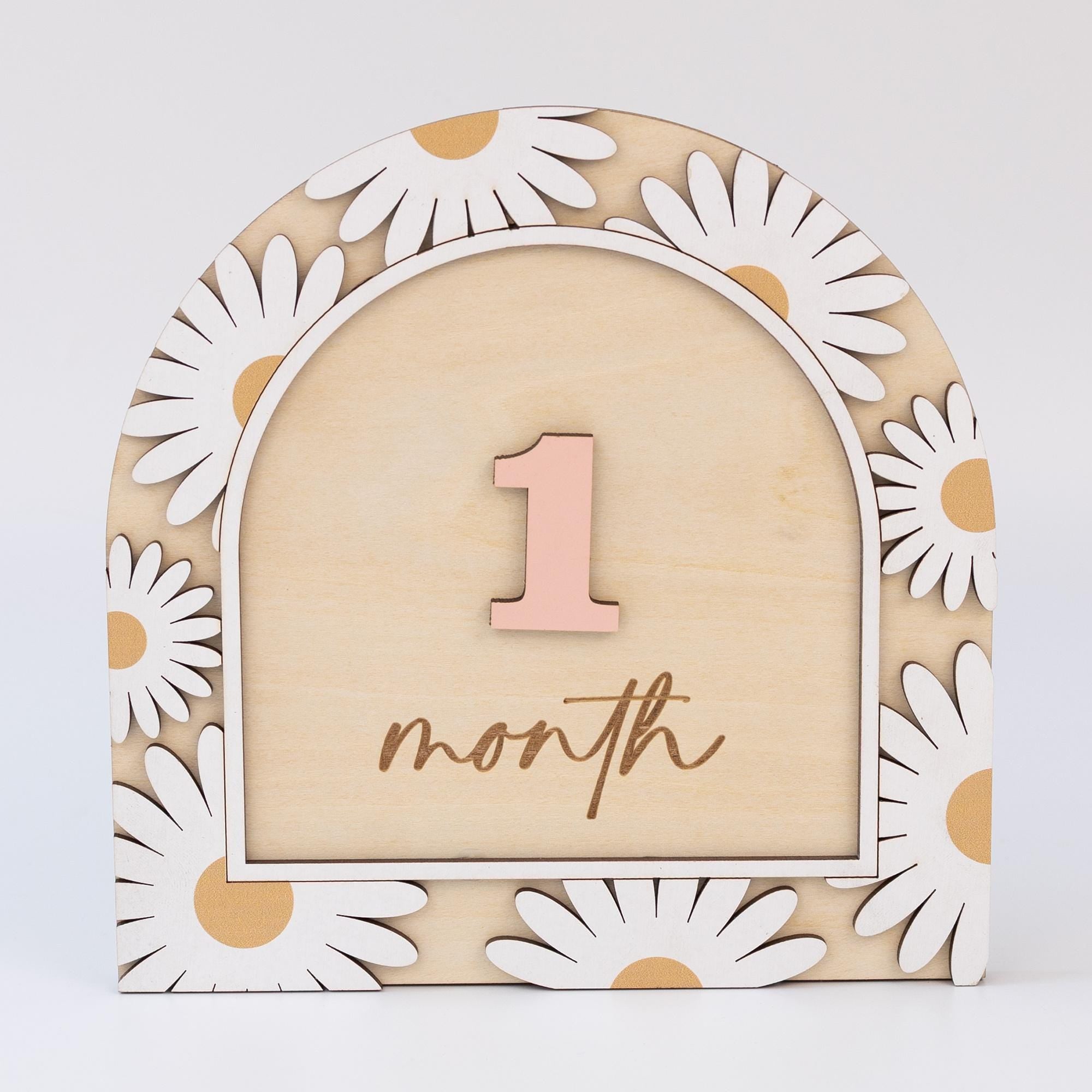 3D Baby Milestone Sign, Hello World Milestone Card, Boho Monthly Milestone, Engraved Wood Monthly Milestone Markers, Baby Girl Photo Props