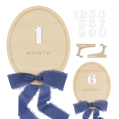 Ribbon Bow Interchangeable Milestone Set, Newborn Photo Prop, Baby Monthly Milestone Marker, Baby Shower Gift, Boho Baby Milestone, Nursery