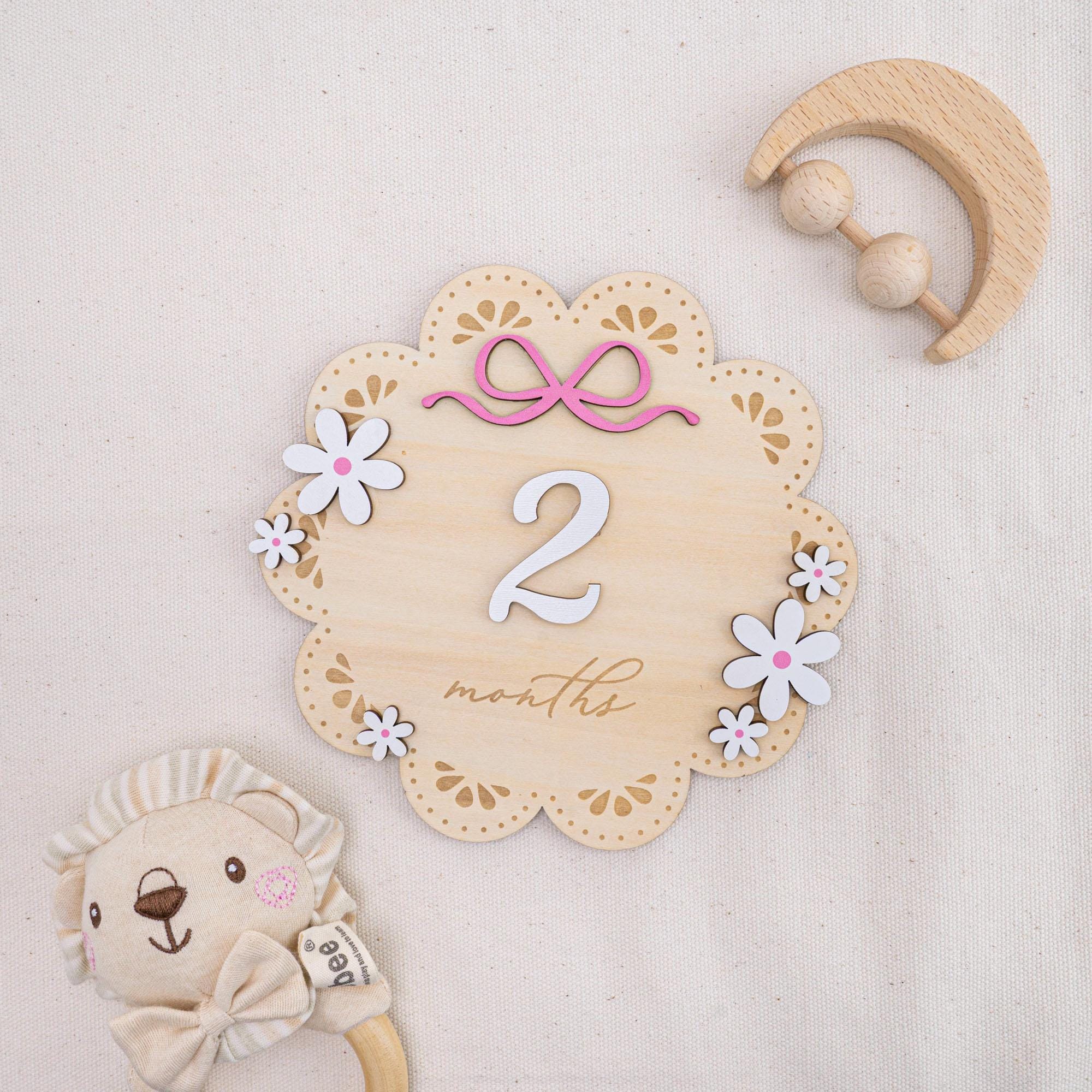 Baby Milestone Sign With Wooden Numbers, Floral Monthly Milestone Card, 3D Layered Baby Photo Prop, Milestone Sign For Baby Girl, Baby Sign