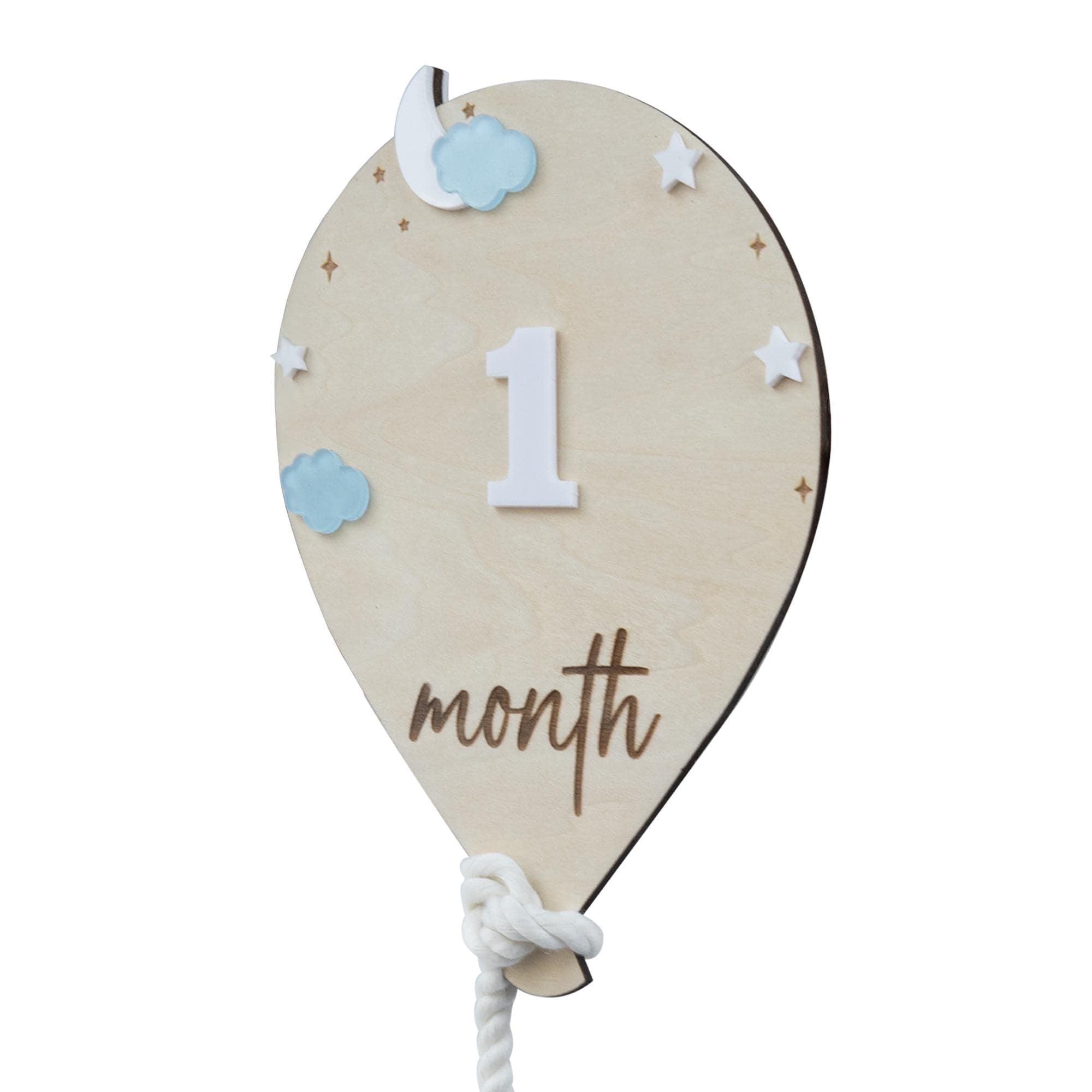 3D Monthly Milestone Discs for Baby Photos, Monthly Baby Milestone Discs, Engraved Wood Monthly Milestone Markers, Personalized Baby Sign