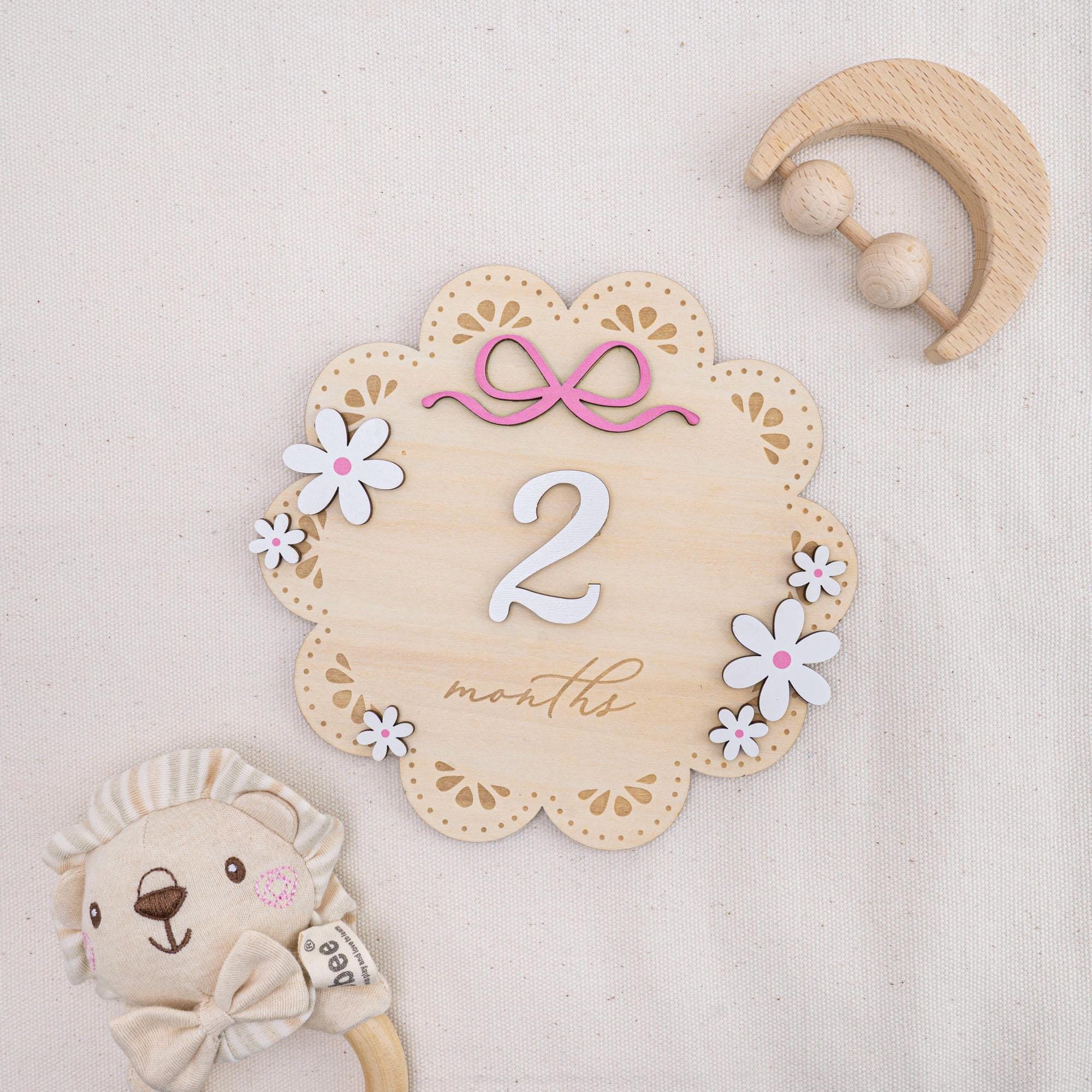 Baby Milestone Sign With Wooden Numbers, Floral Monthly Milestone Card, 3D Layered Baby Photo Prop, Milestone Sign For Baby Girl, Baby Sign