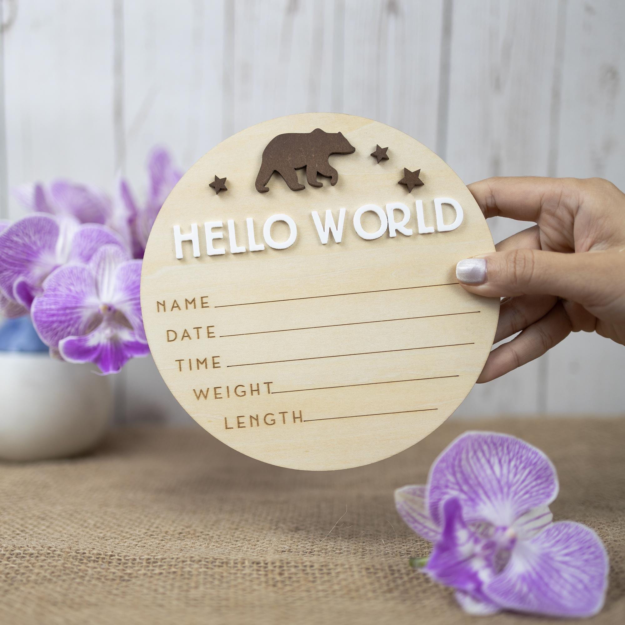 Hello World Sign, Birth Announcement, Birth Stats Sign, Baby Name Announcement, Hospital Name Sign, Newborn Wood Sign