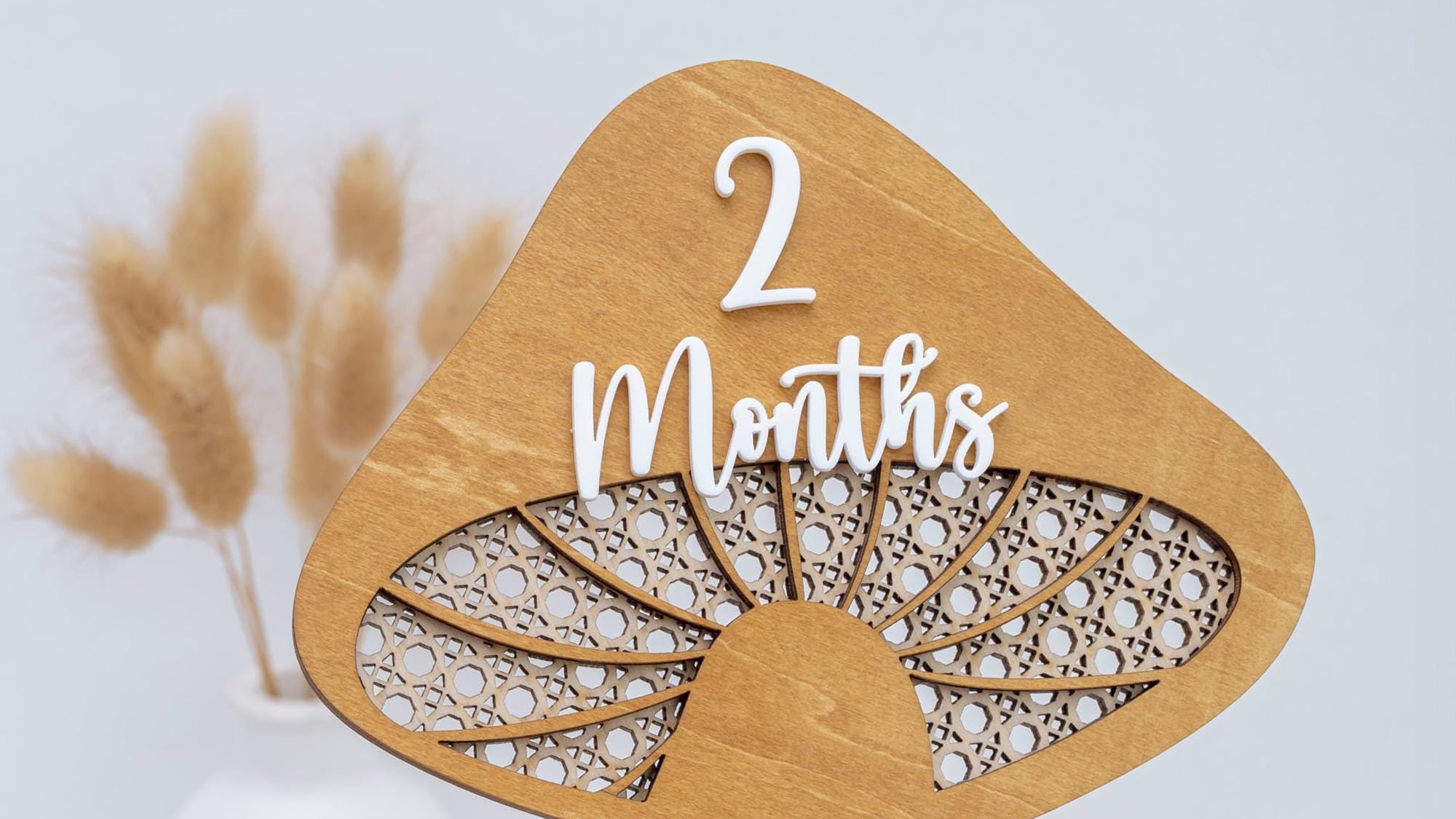 Mushroom Milestone Cards, Baby Milestone Set, Boho Newborn Photo Prop, Milestone Discs Baby,Milestone Photo Sign,Baby Keepsake,Nursery Decor