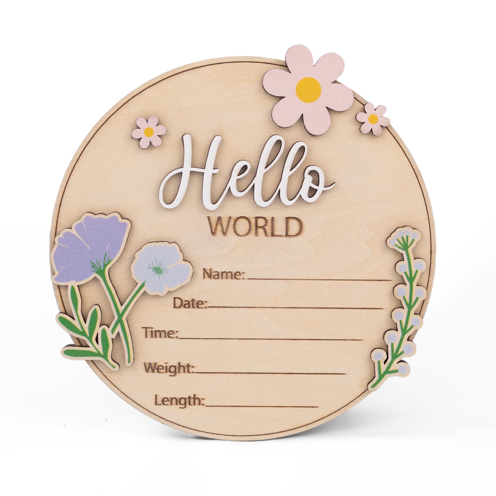 Birth Announcement Sign For Girl, Baby Announcement Name Sign For Hospital, Baby Announcement Sign, Coquette Daisy Newborn Gift,Newborn Sign