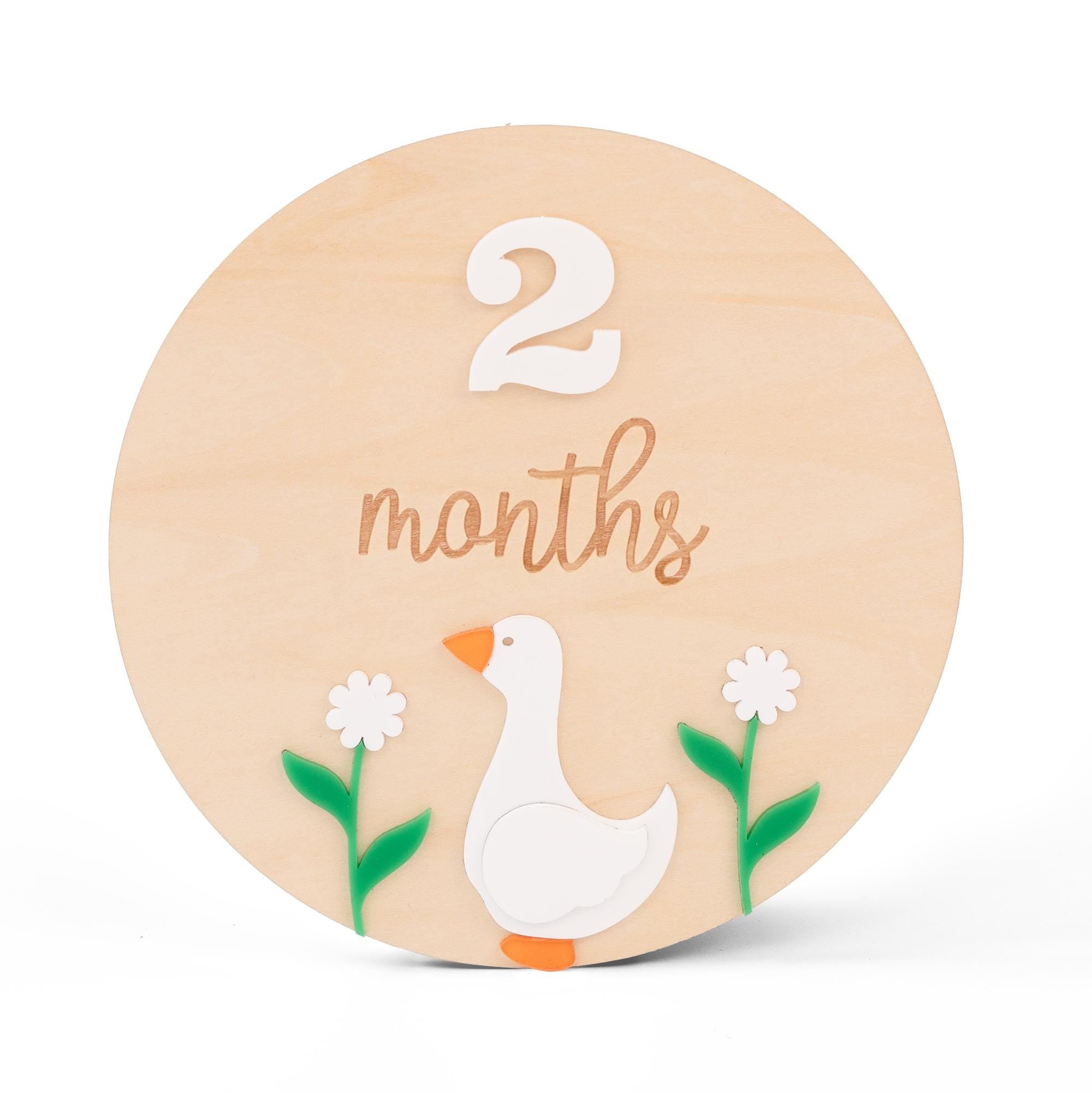Wooden Baby Milestone Card, Interchangeable Milestone Card, Duck Baby Decor, Baby Monthly Milestone Marker, Baby Shower Gift, Nursery Decor