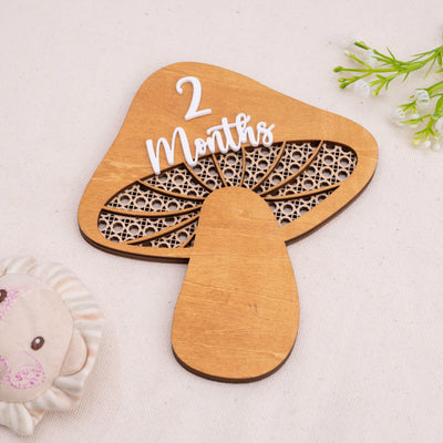 Mushroom Milestone Cards, Baby Milestone Set, Boho Newborn Photo Prop, Milestone Discs Baby,Milestone Photo Sign,Baby Keepsake,Nursery Decor