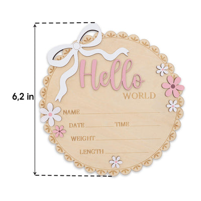 Neutral Baby Girl Hello World Sign Wooden Floral Nursery Keepsake