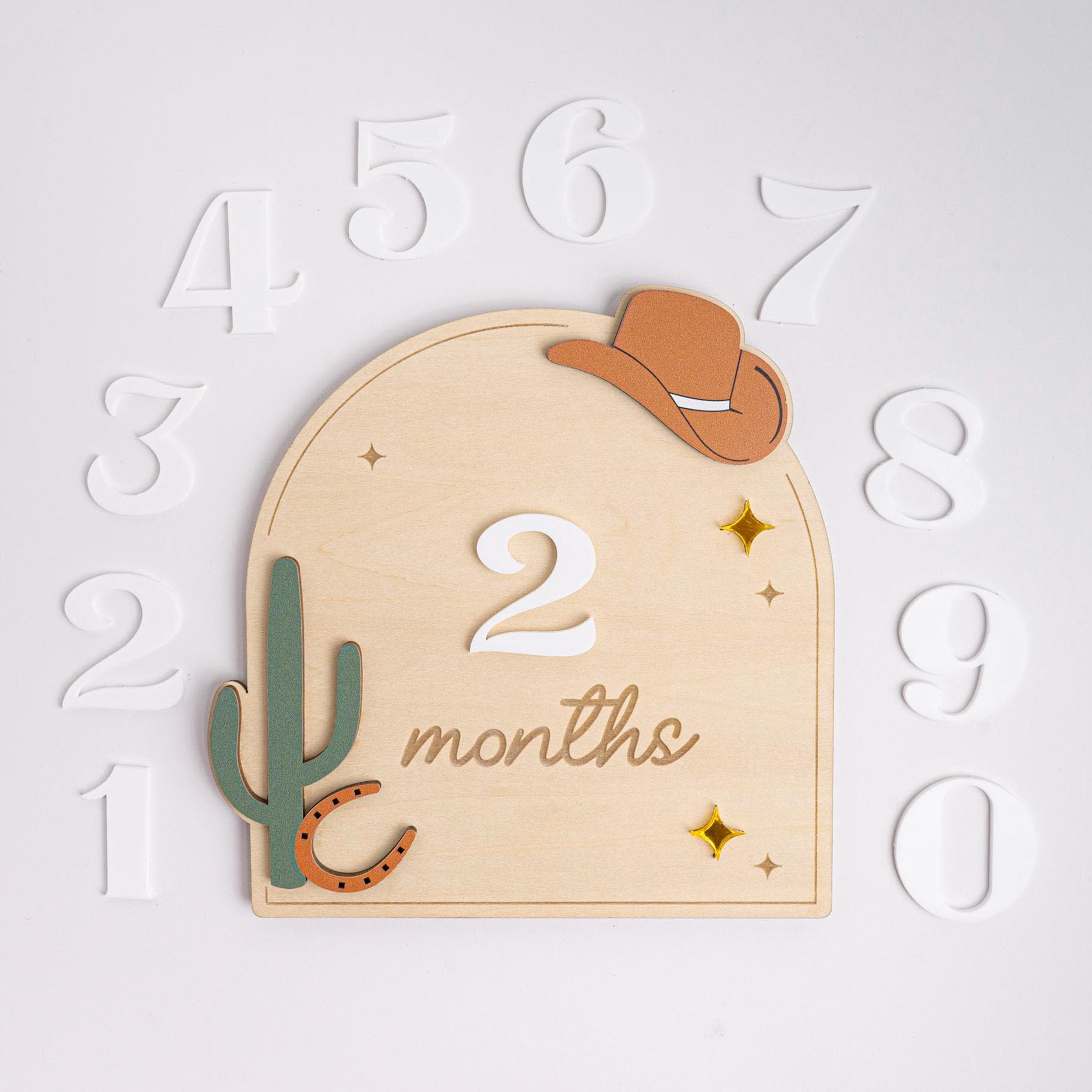 Western Baby Milestone Sign, Wooden Cowboy Monthly Milestone, Rustic Nursery Decor, Interchangeable Monthly Milestones, Newborn Photo Prop